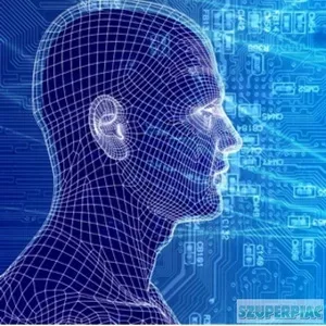 Webprogramozó távmunkában webes munkákat keres Webprogramozó távmunkában webes munkákat keres
