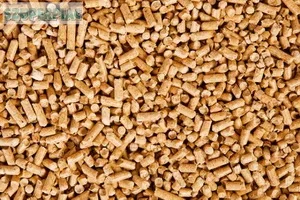 Fenyő pellet A1