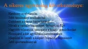 Német, szerb, angol nyelvoktatás, tréningek, tolmácsolás Német, szerb, angol nyelvoktatás, tréningek, tolmácsolás