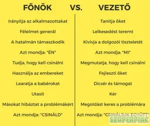 Légy a saját fönököd