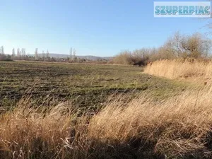 Partközeli balatoni telek Partközeli balatoni telek