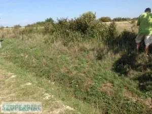 Tapolcán 53 5 hektáros belterületi fejlesztési terület eladó