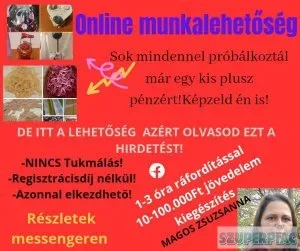 Online munkára munkatársakat keresek