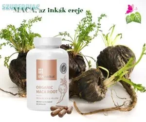 MACA  az inkák ereje