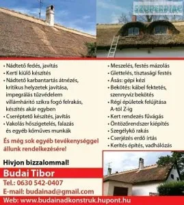 Budai Tibor Budai Tibor
