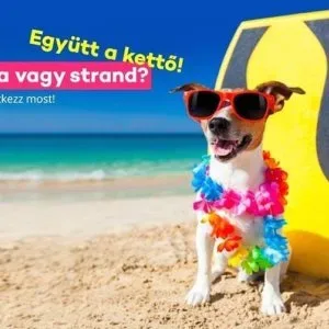 Nyári munka Nyári munka