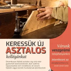 Asztalos pozícióra keressük új kollégánkat Asztalos pozícióra keressük új kollégánkat