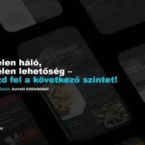 WordPress Weblapkészítés Költséghatékony megoldásokkal