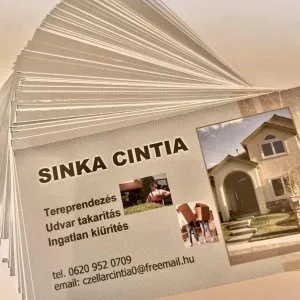 Mindent viszünk lomtalanításhulladék elszállítás