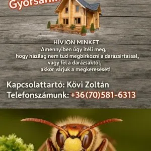 Darázsirtás gyorsan akár még MA