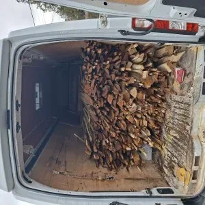 Lomtalanitás Hulladék szállítás