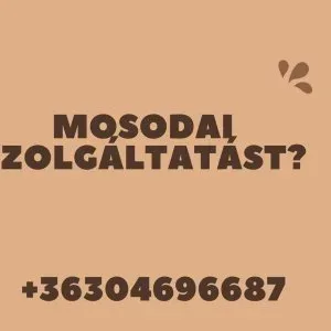 Mosodai szolgáltatás háztól házig