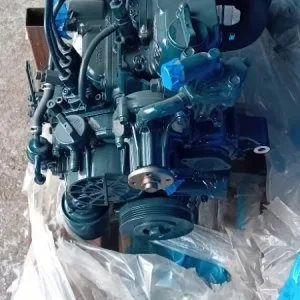 Kubota D1105 motor